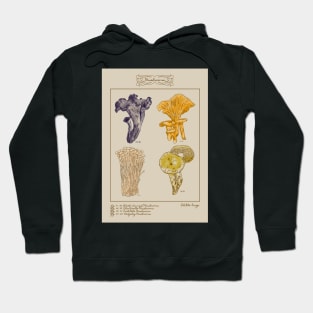 vintage illustration edible fungi Hoodie